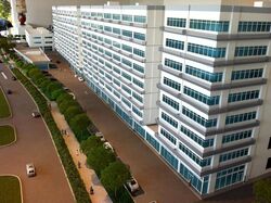 Link@amk (D20), Factory #498459821